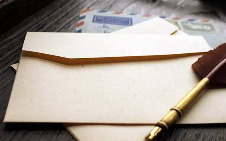 鸟家新事｜一只鸟的来信