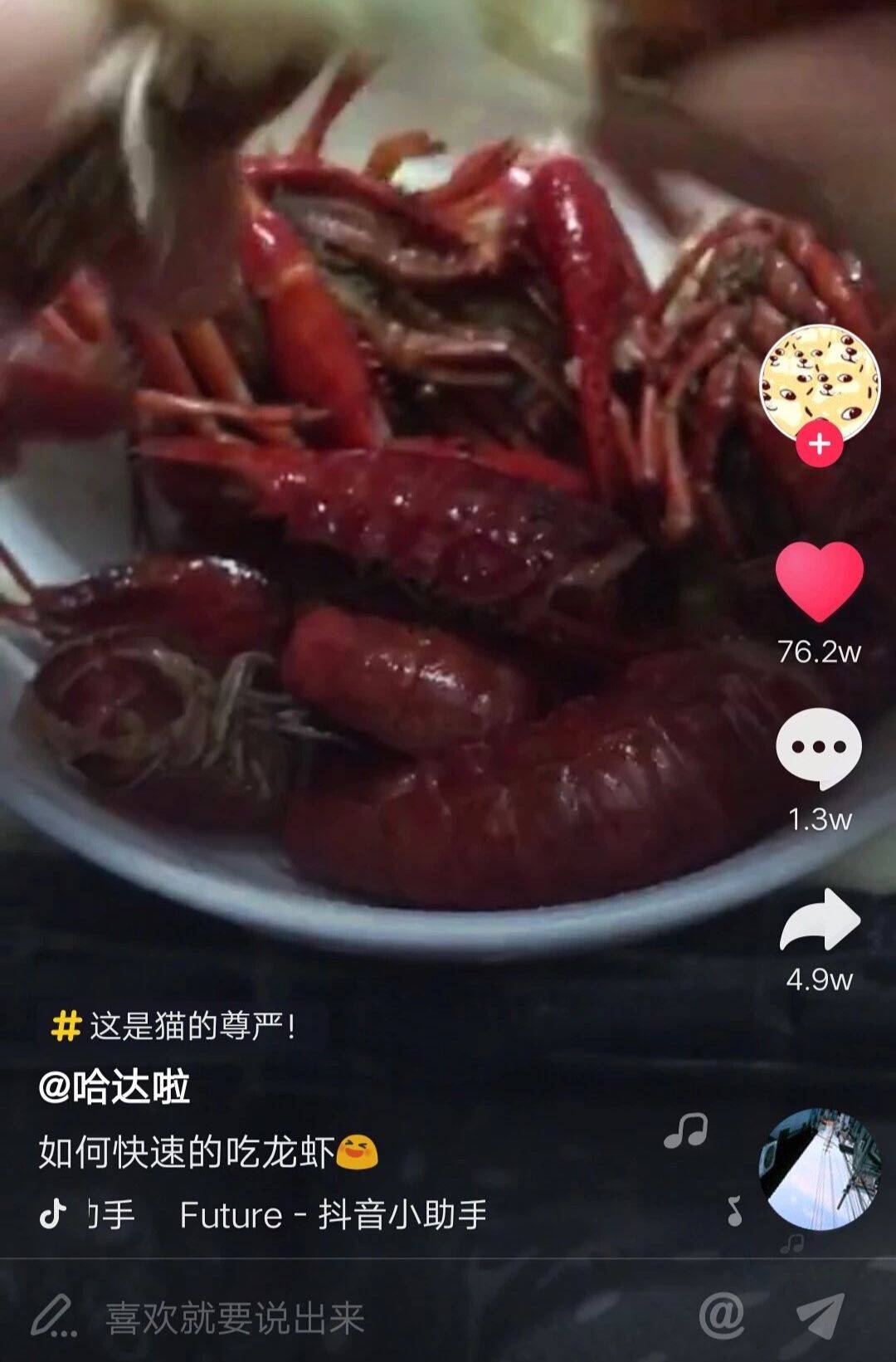 鳥哥筆記,新媒體運營,坤龍團隊,抖音,標(biāo)題,推廣 鳥哥筆記,新媒體運營,坤龍團隊,抖音,標(biāo)題,推廣