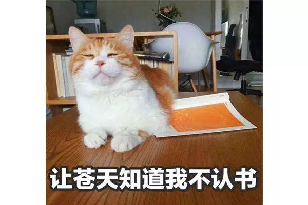 金鱼系列又火了,金鱼系文案、设计、甲方...来对号入座! 金鱼系列又火了,金鱼系文案、设计、甲方...来对号入座!