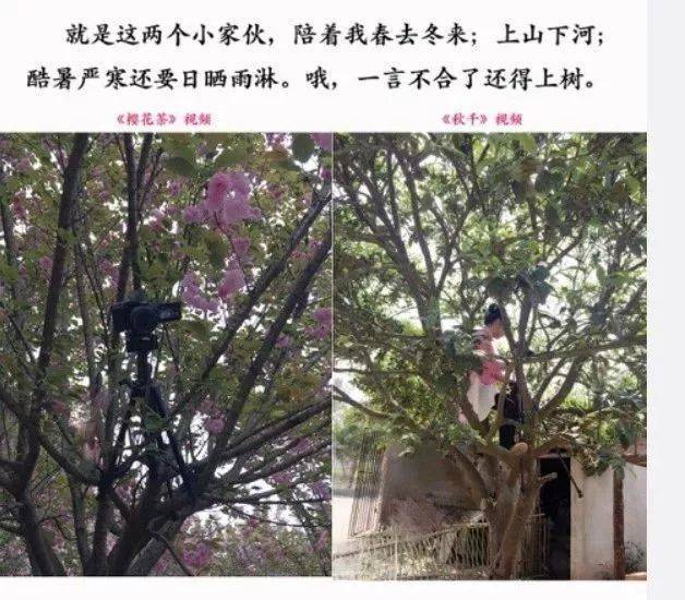 码人网mrw.so缩短网址文章图片