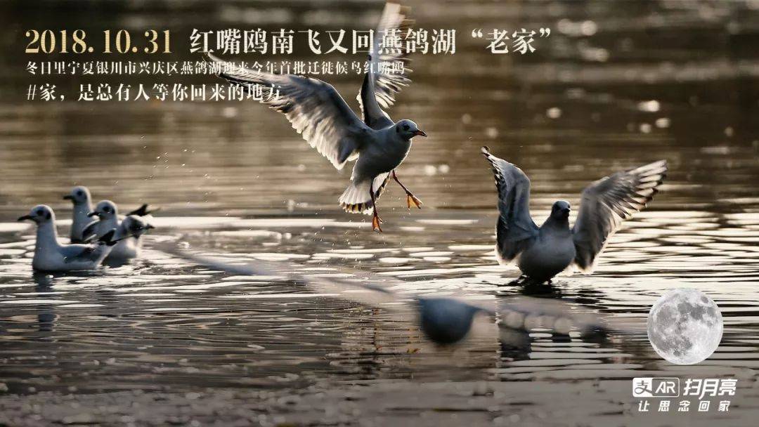 鸟哥笔记,广告营销,潘二蛋,营销,传播,品牌推广,广告营销 鸟哥笔记,广告营销,潘二蛋,营销,传播,品牌推广,广告营销