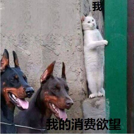 鸟哥笔记,新媒体运营,半佛仙人,分享,选题 鸟哥笔记,新媒体运营,半佛仙人,分享,选题