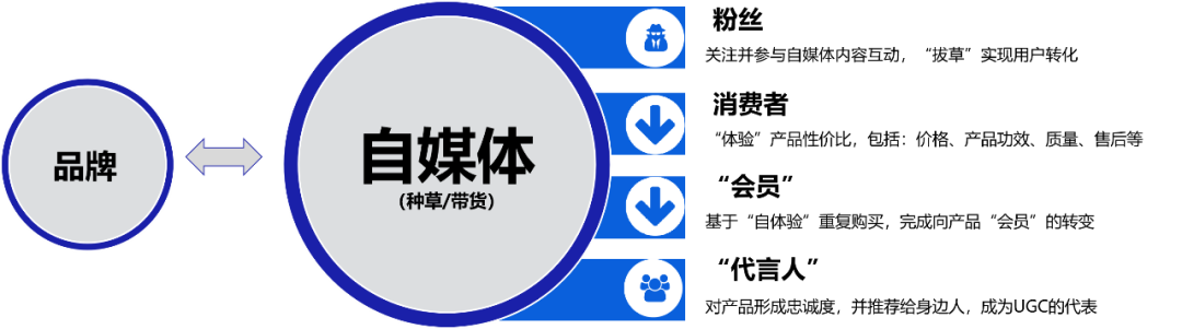 鸟哥笔记,行业动态,见实,新媒体营销,电商,抖音,短视频,小红书