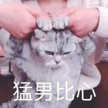 鸟哥笔记,新媒体运营,半佛仙人,热点 鸟哥笔记,新媒体运营,半佛仙人,热点