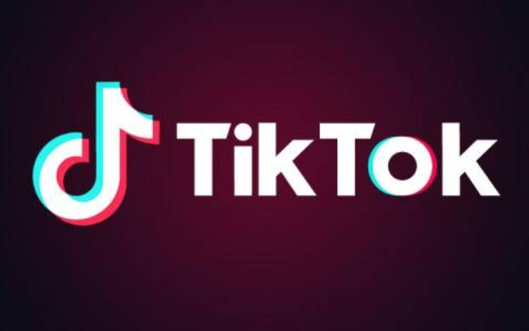 以TikTok为例海外流量打法大全：官方Ads、独立进站