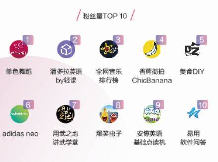 蓝V抖音号最全攻略_如何用一条抖音带来品牌的3亿次曝光 新媒体运营 第11张-懿古今