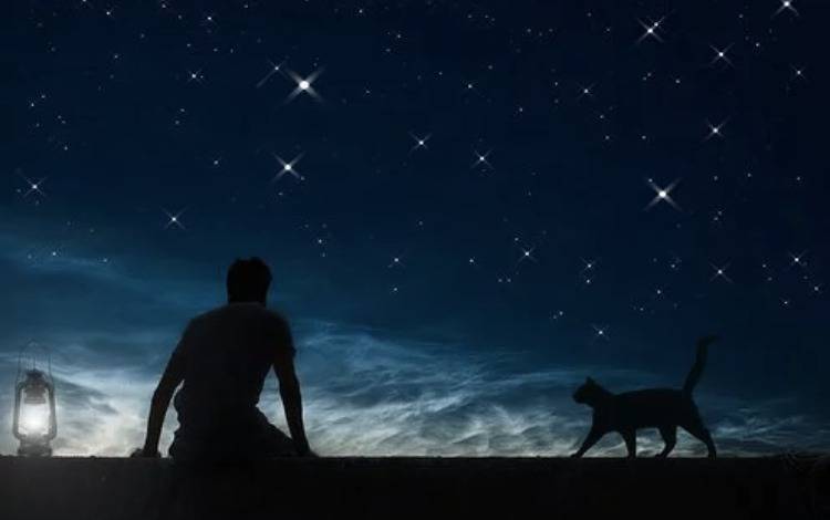 “睡眠经济”正在崛起，如何抓住这个风口的红利？