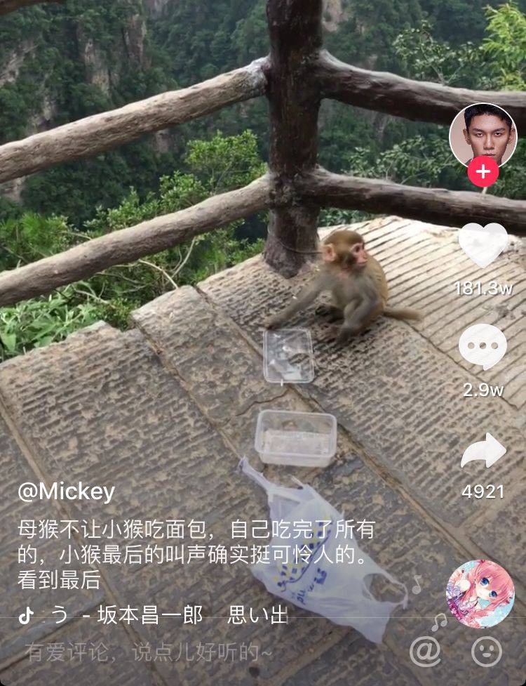 鳥哥筆記,新媒體運營,坤龍團隊,抖音,標(biāo)題,推廣 鳥哥筆記,新媒體運營,坤龍團隊,抖音,標(biāo)題,推廣