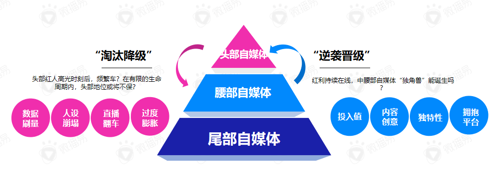 鸟哥笔记,行业动态,见实,新媒体营销,电商,抖音,短视频,小红书