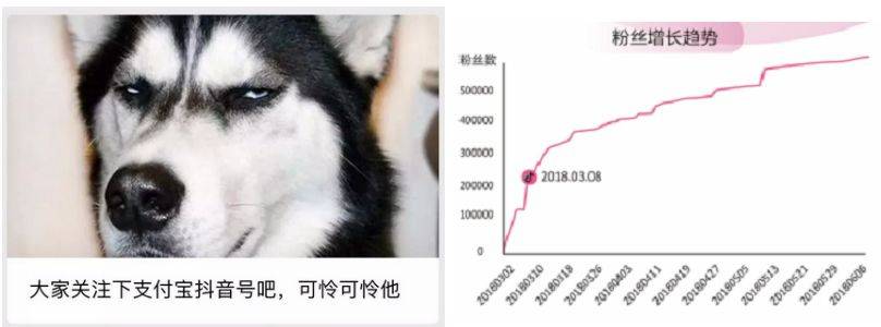 蓝V抖音号最全攻略_如何用一条抖音带来品牌的3亿次曝光 新媒体运营 第2张-懿古今