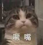 鸟哥笔记,新媒体运营,半佛仙人,热点 鸟哥笔记,新媒体运营,半佛仙人,热点