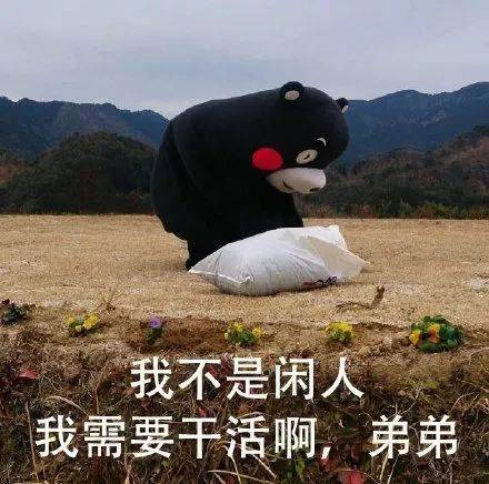 鸟哥笔记,新媒体运营,半佛仙人,分享,选题 鸟哥笔记,新媒体运营,半佛仙人,分享,选题
