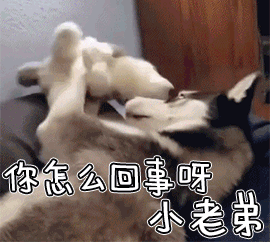 鸟哥笔记,新媒体运营,半佛仙人,热点 鸟哥笔记,新媒体运营,半佛仙人,热点