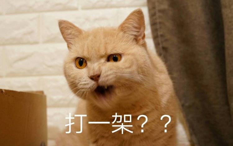 鸟哥笔记,广告营销,公关之家,营销,传播